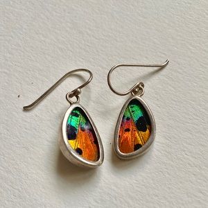 Sunset Moth Wing Earrings